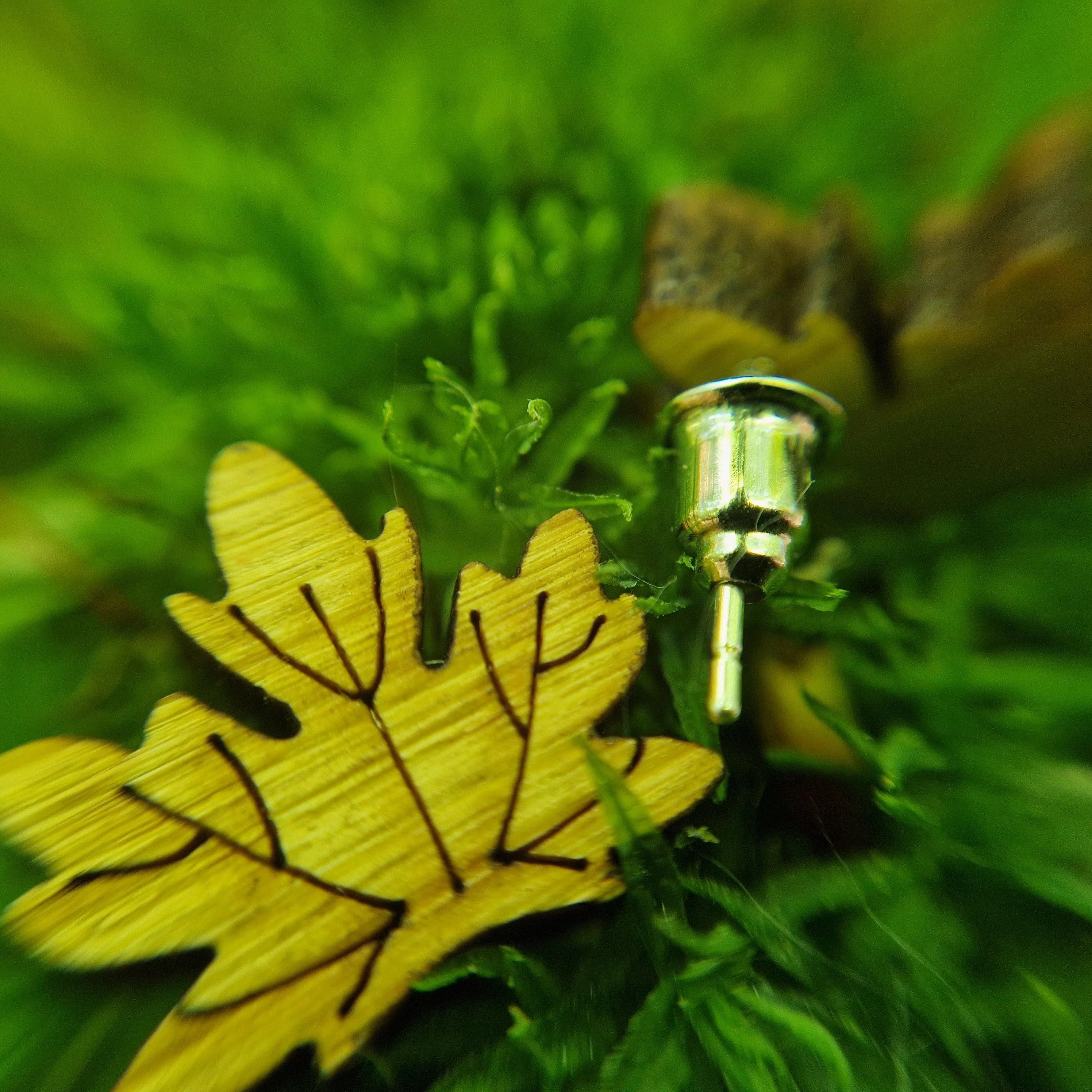 Blatt - Ohrstecker
