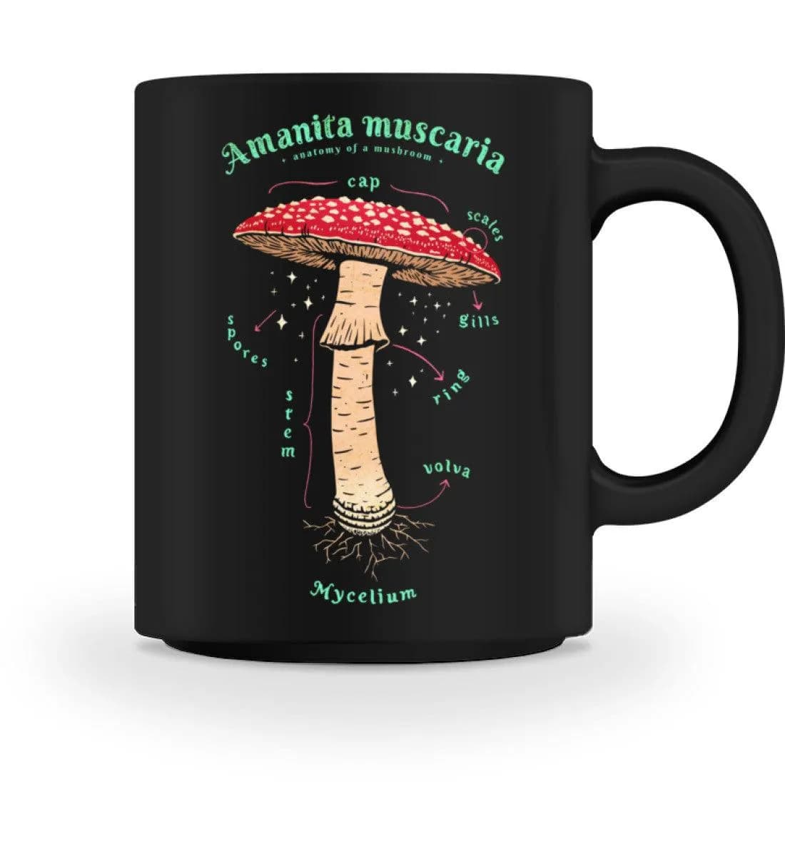 Anatomie Fliegenpilz - Tasse