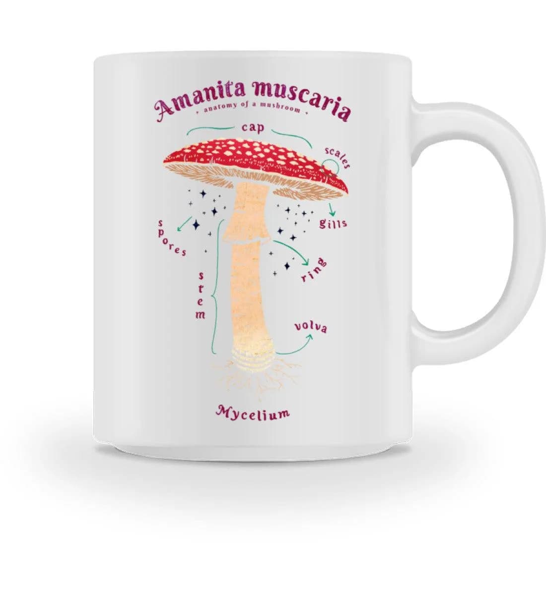 Anatomie Fliegenpilz - Tasse